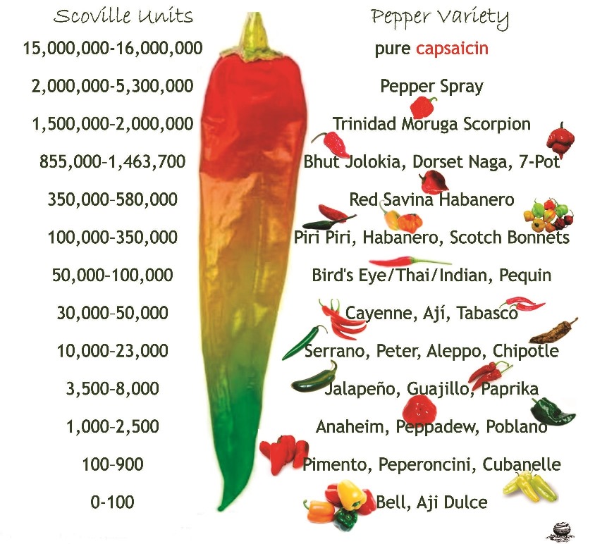 Chilli Hotness Guide